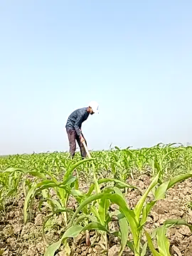 ThethunderPo online show from 02/06/26, 04:39