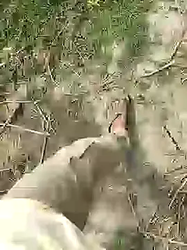 ThethunderPo online show from 02/25/26, 07:51