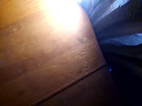 UncutHammer69 online show from 02/17/26, 03:29