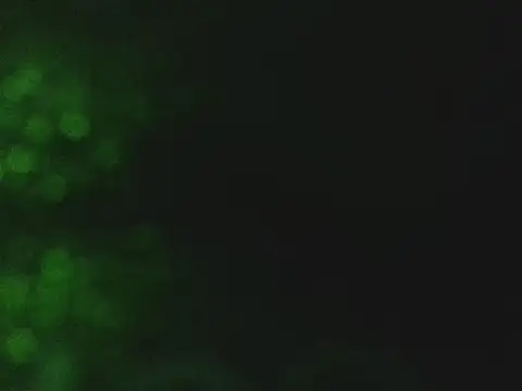 lonelycock33 online show from 11/07/25, 09:48