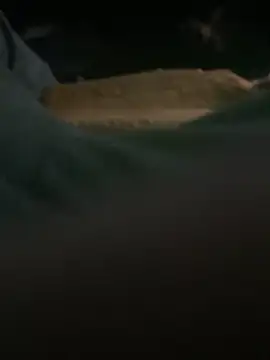 Snapshot of mikeylong chatting on 02/21/25, 03:54 mikeylong online show from 02/21/25, 03:54