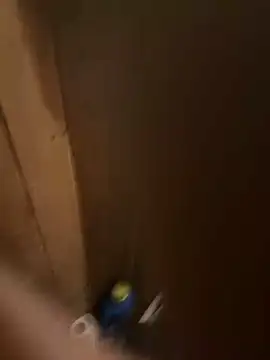 Snapshot of mikeylong chatting on 11/13/25, 12:15 mikeylong online show from 11/13/25, 12:15