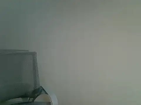 Snapshot of DitaVira chatting on 12/11/24, 08:28 DitaVira online show from 12/11/24, 08:28