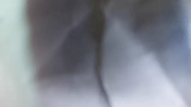 domjoab online show from 02/02/26, 11:31