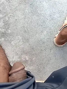 Bengali BULL1 online show from 10/01/25, 10:43