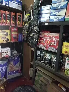 Kalani Engel online show from 04/19/26, 05:29