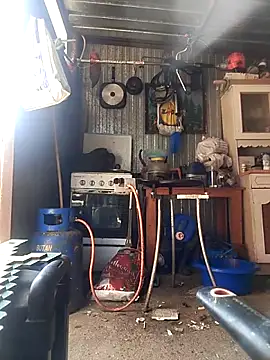 sarpe4 online show from 04/14/26, 09:15