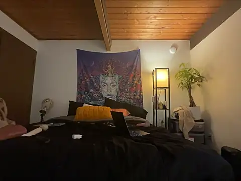 odbodu online show from 02/18/26, 03:24