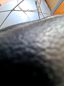 PetePro1989 online show from 04/08/26, 12:49