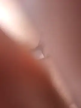 Bull8 online show from 04/19/26, 08:24