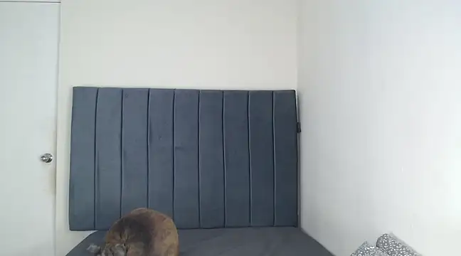 Snapshot of Chanelsexyy chatting on 03/06/25, 11:53 Chanelsexyy online show from 03/06/25, 11:53