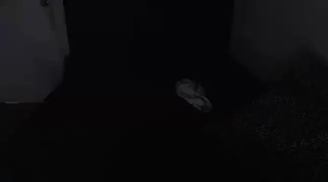 Snapshot of Chanelsexyy chatting on 03/16/25, 08:43 Chanelsexyy online show from 03/16/25, 08:43