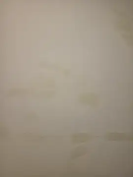 Adivaaa online show from 02/12/26, 10:54