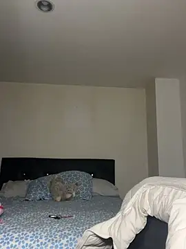 swrennn19 online show from 02/17/25, 10:47