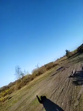 Muzz 2020 online show from 04/10/26, 06:51