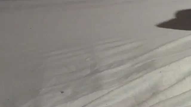 Vandrino online show from 03/15/25, 03:07