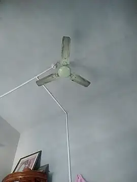 Dogol1990 online show from 10/01/25, 05:57