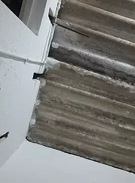 Snapshot of DAELAA chatting on 02/18/25, 01:54 DAELAA online show from 02/18/25, 01:54