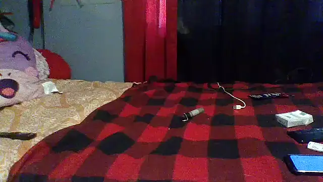 msdeedee online show from 12/23/24, 06:05