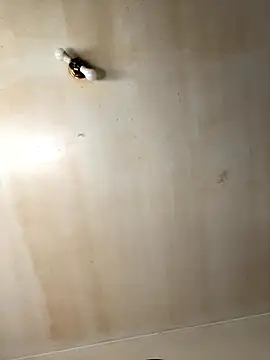 Tristris100 online show from 11/19/25, 03:56