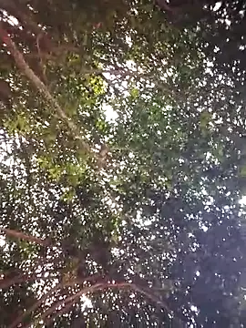 Brenda Berck  online show from 04/05/26, 12:57