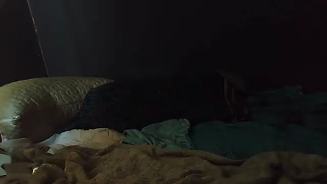 Snapshot of k-dong chatting on 02/01/26, 04:49 k-dong online show from 02/01/26, 04:49