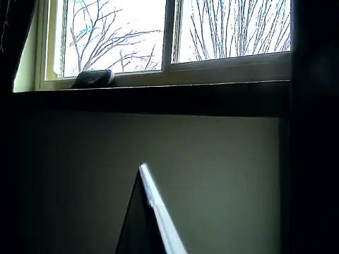 longdick4you8686 online show from 02/12/25, 03:05