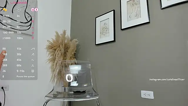 catalinaofficer online show from 12/25/24, 07:24