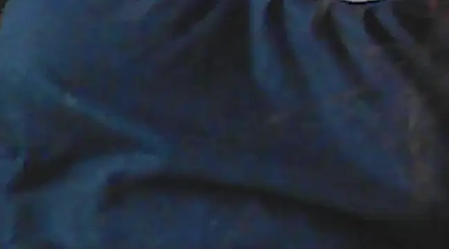 Snapshot of giga-bite chatting on 12/15/24, 06:40 giga-bite online show from 12/15/24, 06:40