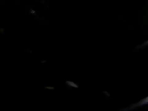 Snapshot of giga-bite chatting on 10/10/25, 03:44 giga-bite online show from 10/10/25, 03:44