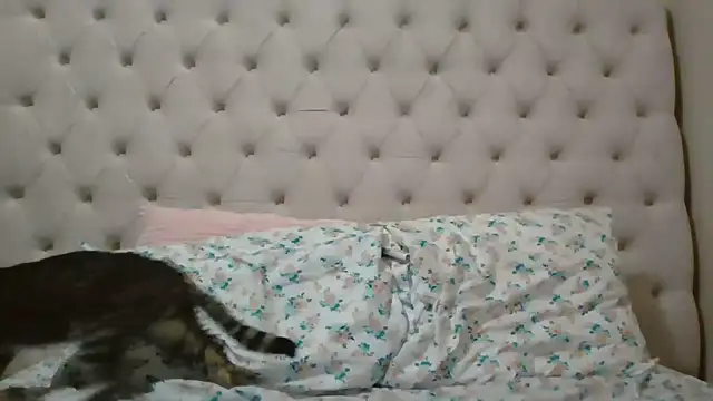 beautylovess online show from 02/05/26, 11:42