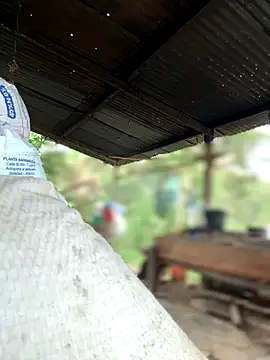 Ixchel Anaid online show from 10/30/25, 02:18