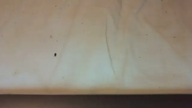 Snapshot of Helly97 chatting on 10/23/25, 08:07 Helly97 online show from 10/23/25, 08:07