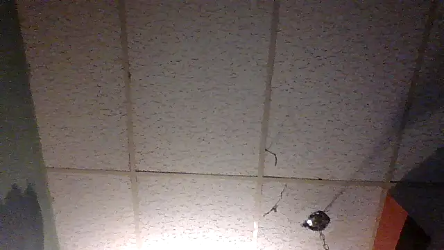 moipipi2 online show from 12/07/24, 04:31