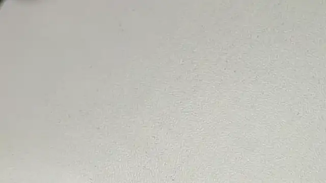 yodaModel1 online show from 02/06/25, 10:15