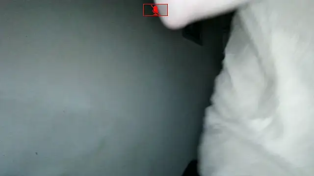 Ethangay online show from 11/02/25, 06:27