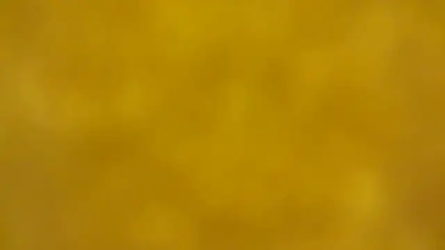 fmodel online show from 12/16/25, 02:33