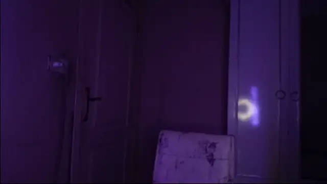 Bullish online show from 01/22/25, 11:45