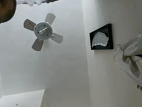 tropikboy online show from 03/23/26, 12:09