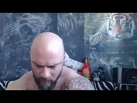 viking 30 online show from 04/12/26, 06:07