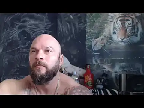 viking 30 online show from 04/22/26, 06:16