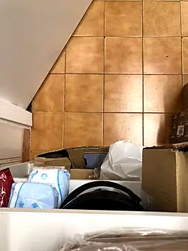 Mindnorthcam2 online show from 11/17/25, 07:36