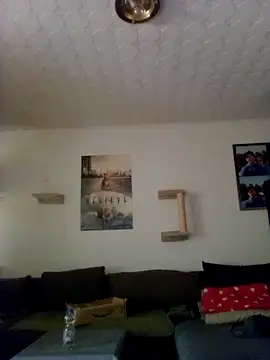Codymc89 online show from 06/30/26, 02:18