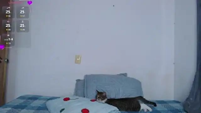 Snapshot of valen_thompson chatting on 03/01/26, 11:07 valen thompson online show from 03/01/26, 11:07