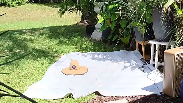 eliberator1777 online show from 09/21/25, 05:03