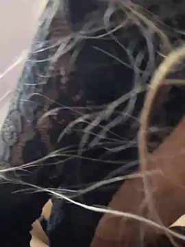 Snapshot of Littlebunny21 chatting on 12/15/24, 10:26 Littlebunny21 online show from 12/15/24, 10:26