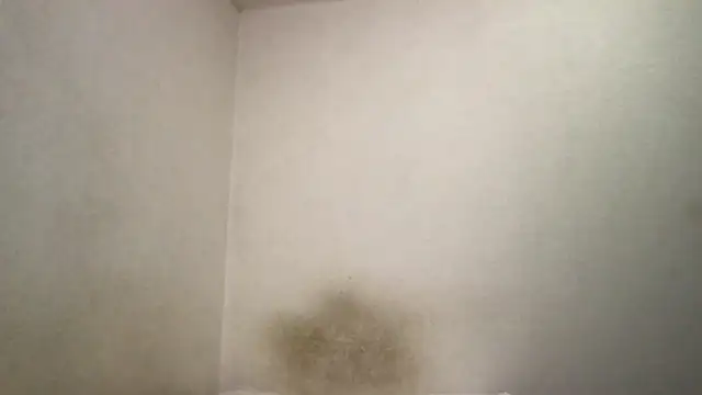 Magicwordsforme online show from 03/15/25, 12:25