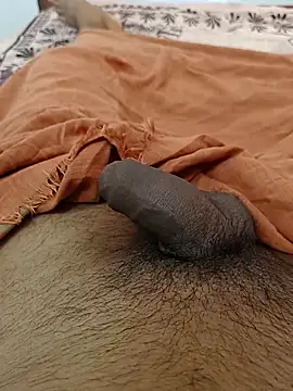 Snapshot of Dileep790 chatting on 03/11/25, 06:00 Dileep790 online show from 03/11/25, 06:00