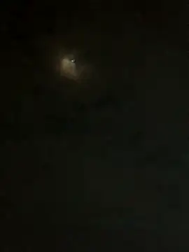 Snapshot of jesusthedonkey chatting on 11/30/25, 01:31 jesusthedonkey online show from 11/30/25, 01:31