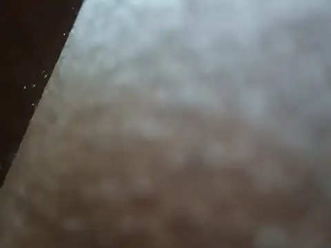 Snapshot of PrinceNoAlbert chatting on 12/06/24, 03:33 PrinceNoAlbert online show from 12/06/24, 03:33